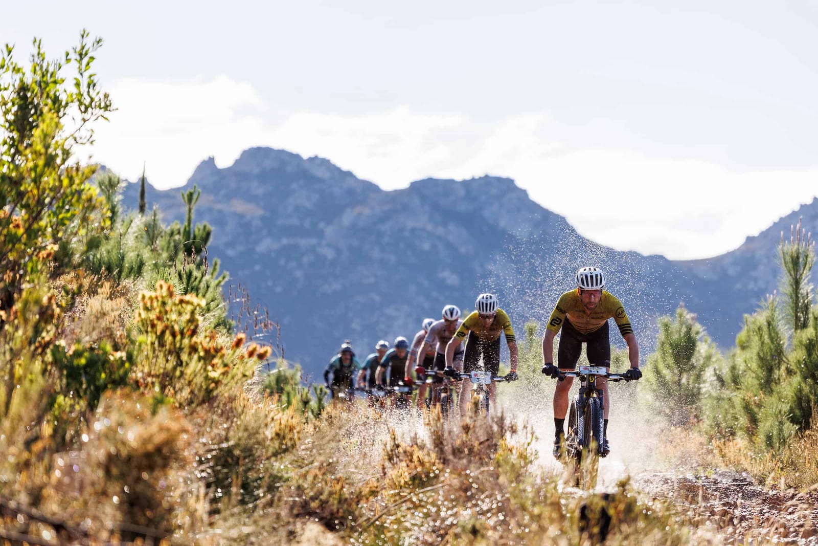 Grupo de ciclistas de gravel compitiendo en carrera, levantando polvo en un camino de tierra