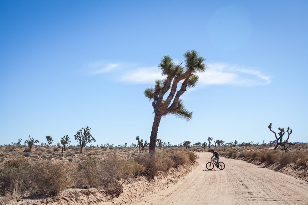 La Desertica