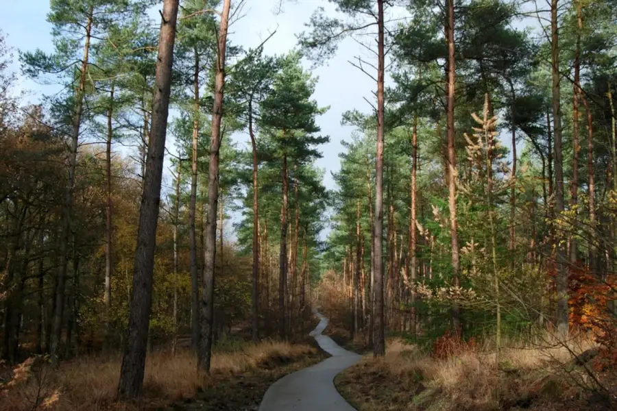 3RIDES Gravel Winterberg