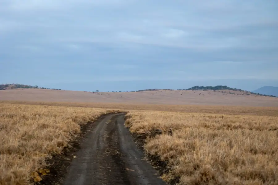 Berica Gravel – Città di Lonigo