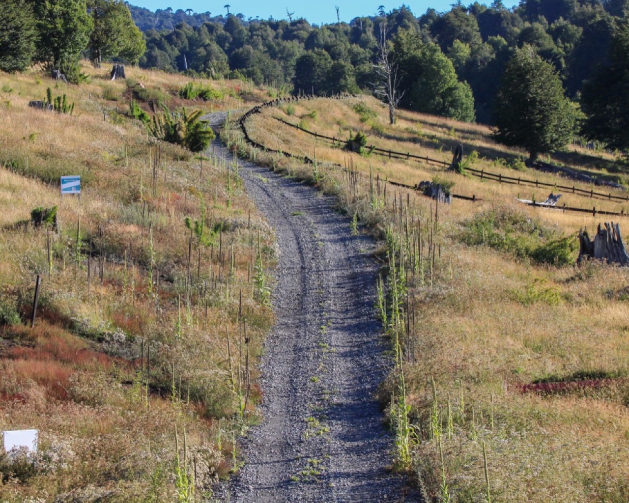 114 Gravel Race